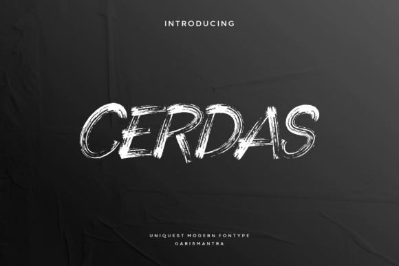 Cerdas: A Bold Font for Business Branding