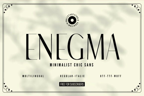 Enegma: A Font for Professional Branding