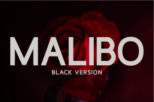Malibo Black: A Bold Font for Web Design