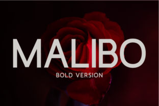 Malibo Bold: A Font for Modern Web Design