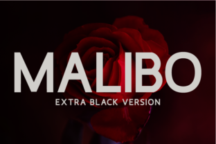 Malibo Extra Black: A Font for Elegant Design