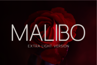 Malibo Extra Light Font for Business
