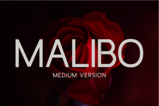 Malibo Medium: A Refined Sans Serif