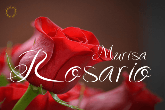 Murisa Rosario: A Font for Business Brilliance