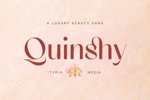 Quinshy Font – Modern Branding Made Easy